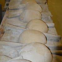 Verarbeitung der Teiglinge bei Grafe Beck - Bäckerei Graf