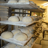 Verarbeitung der Teiglinge bei Grafe Beck - Bäckerei Graf