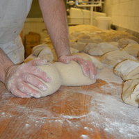 Verarbeitung der Teiglinge bei Grafe Beck - Bäckerei Graf