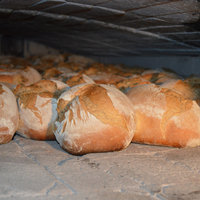 Backwarenerzeugung bei Grafe Beck - Bäckerei Graf