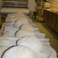 Verarbeitung der Teiglinge bei Grafe Beck - Bäckerei Graf